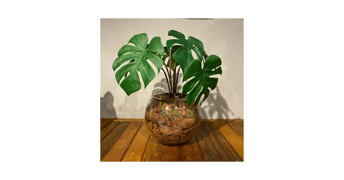 Melhor Planta para Mesa de Jantar: Orquídeas e Folhagens Artificiais