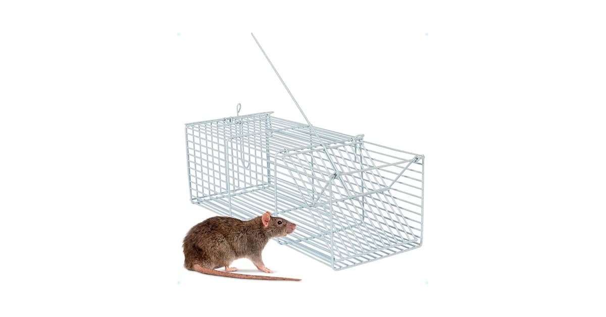 Melhor Ratoeira para Camundongo: Captura Eficiente e Segura