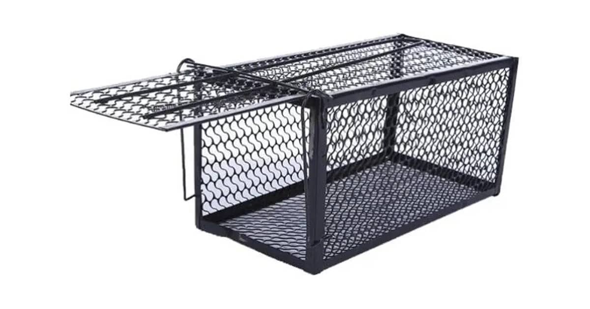 Melhor Ratoeira para Ratos Grandes: Captura Eficiente Garantida!