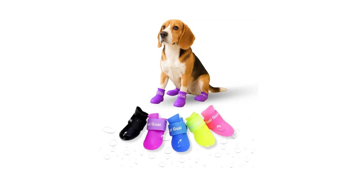 Melhor Sapatinho para Cachorro: Proteção e Conforto para seu Pet