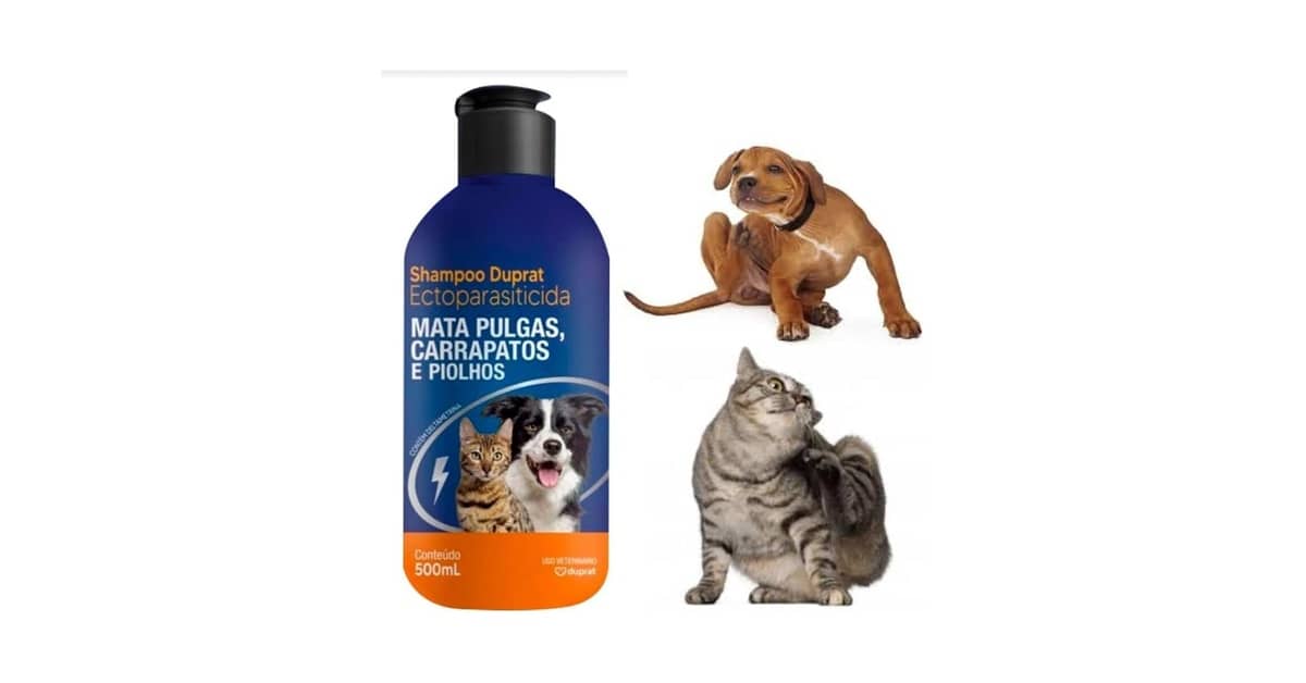 Melhor Shampoo para Tirar Piolho: Guia Essencial com 5 Opções