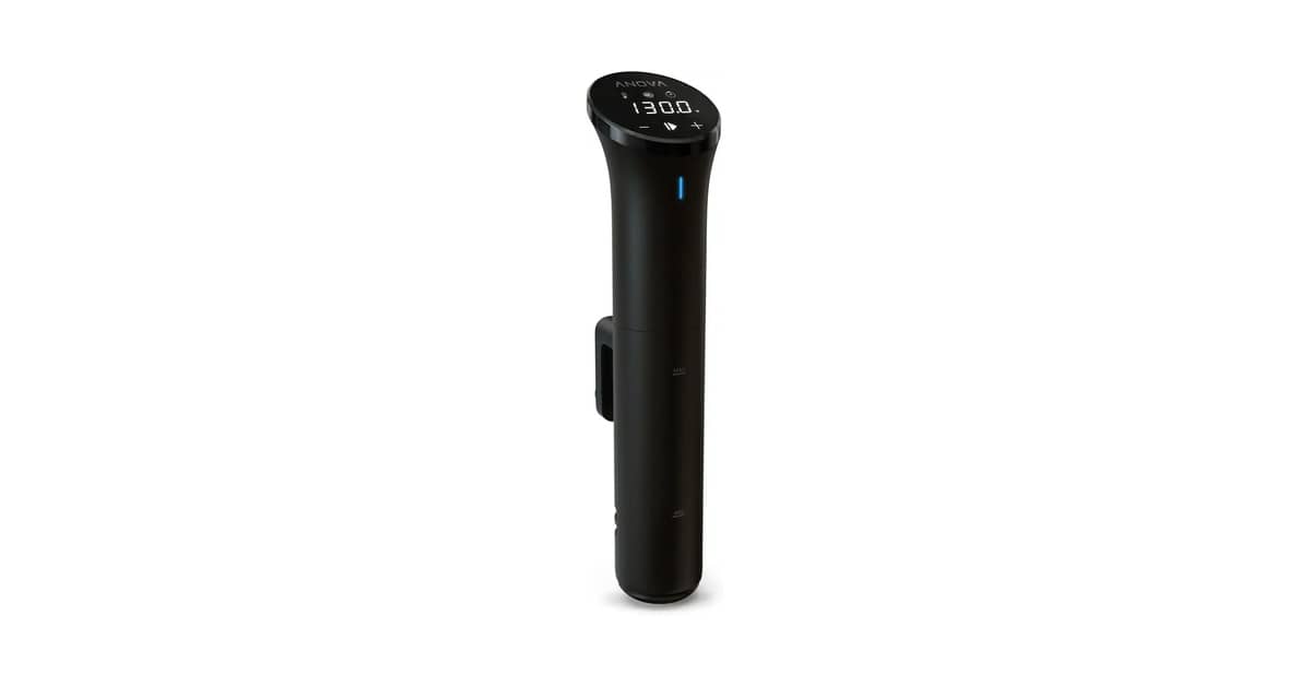 Melhor Sous Vide: Guia Completo de Compra