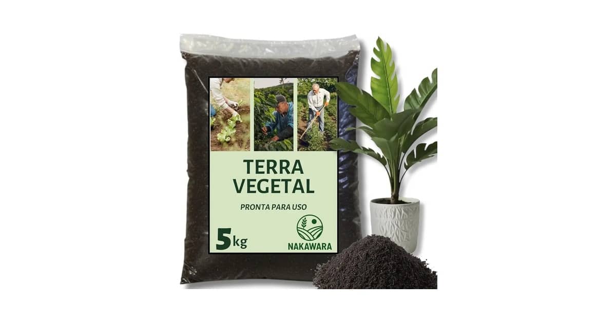 Melhor Substrato para Plantas: 10 Opções de Alta Drenagem