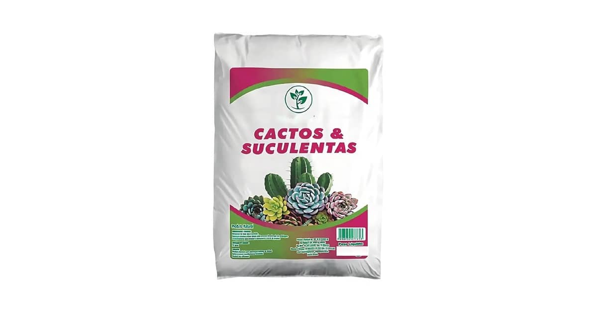Melhor Terra para Suculentas: Guia Essencial para Plantio