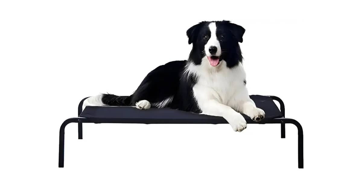 Melhor Tipo de Cama para Cachorro: Conforto e Durabilidade