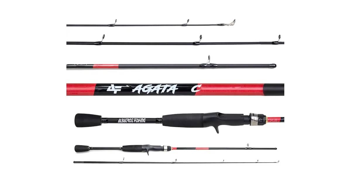 Melhor Vara de Pesca para Carretilha: Guia Completo