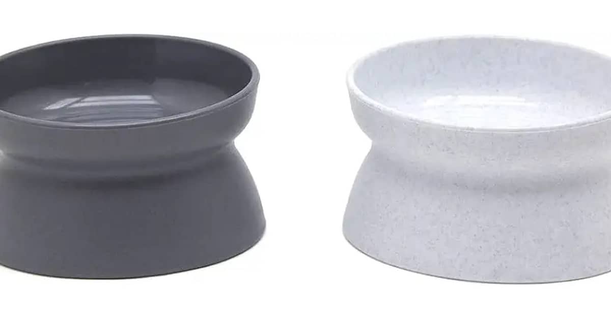 Melhor Vasilha para Gatos: Escolha Ideal para seu Felino!