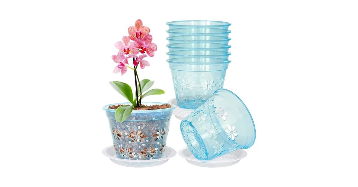 Melhor Vaso para Orquídea Oncidium: Guia Completo