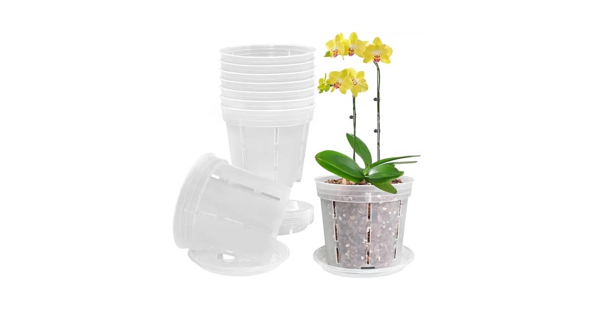 Melhor Vaso para Orquídea Phalaenopsis: Guia Completo