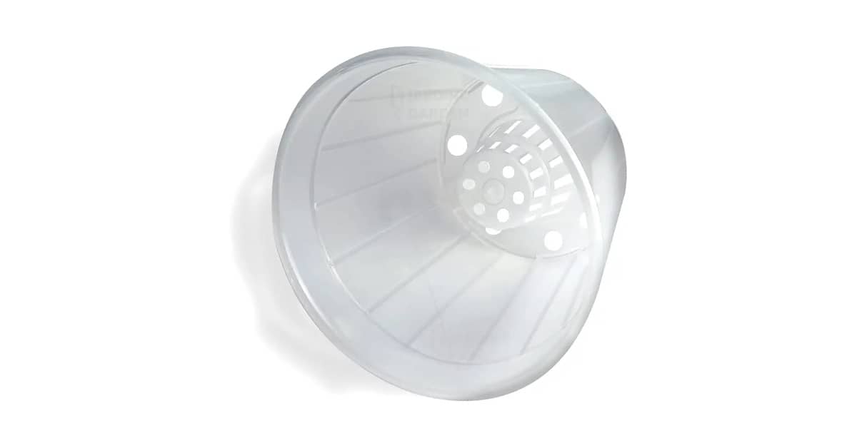 Melhor Vaso para Plantar Orquídea: Escolha Ideal!