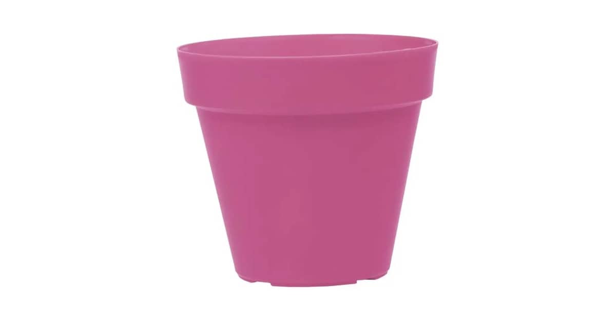 Melhor Vaso para Plantar Rosa do deserto: Guia Completo!