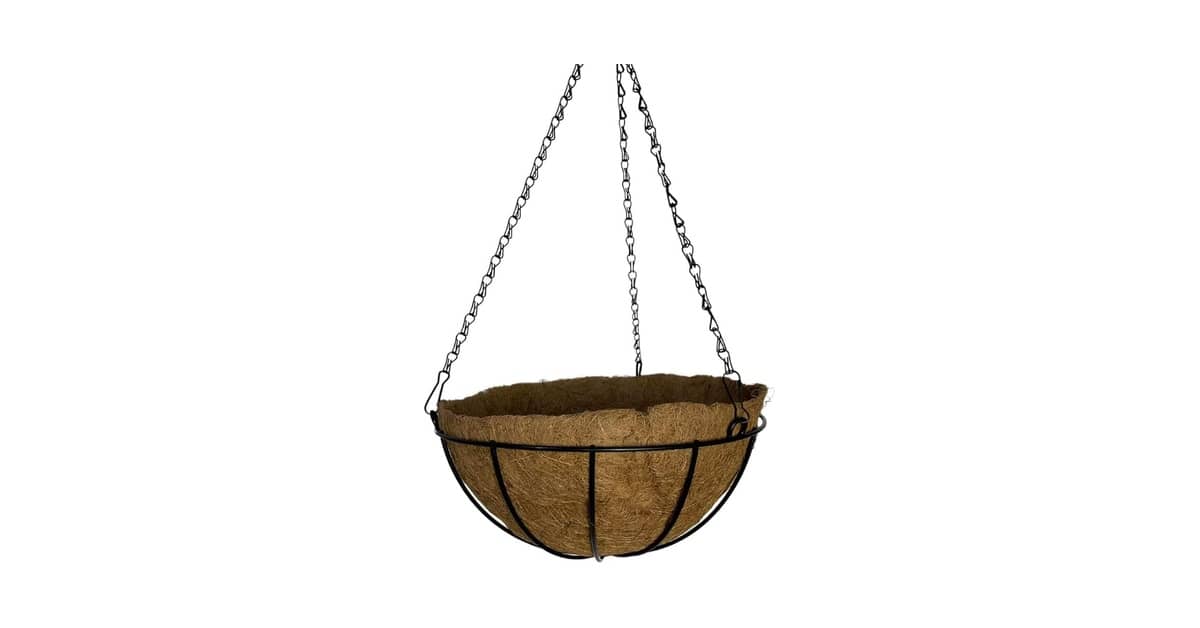 Melhor Vaso para Plantar Samambaia: Guia Essencial