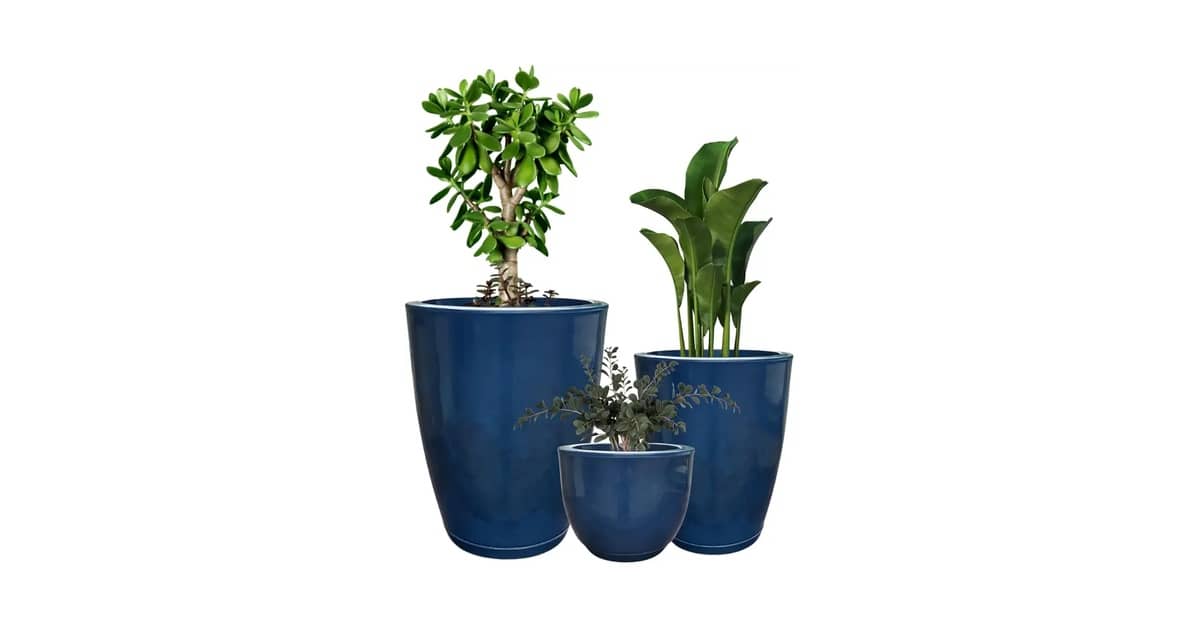 Melhor Vaso para Plantas: Luxo e Durabilidade em Destaque