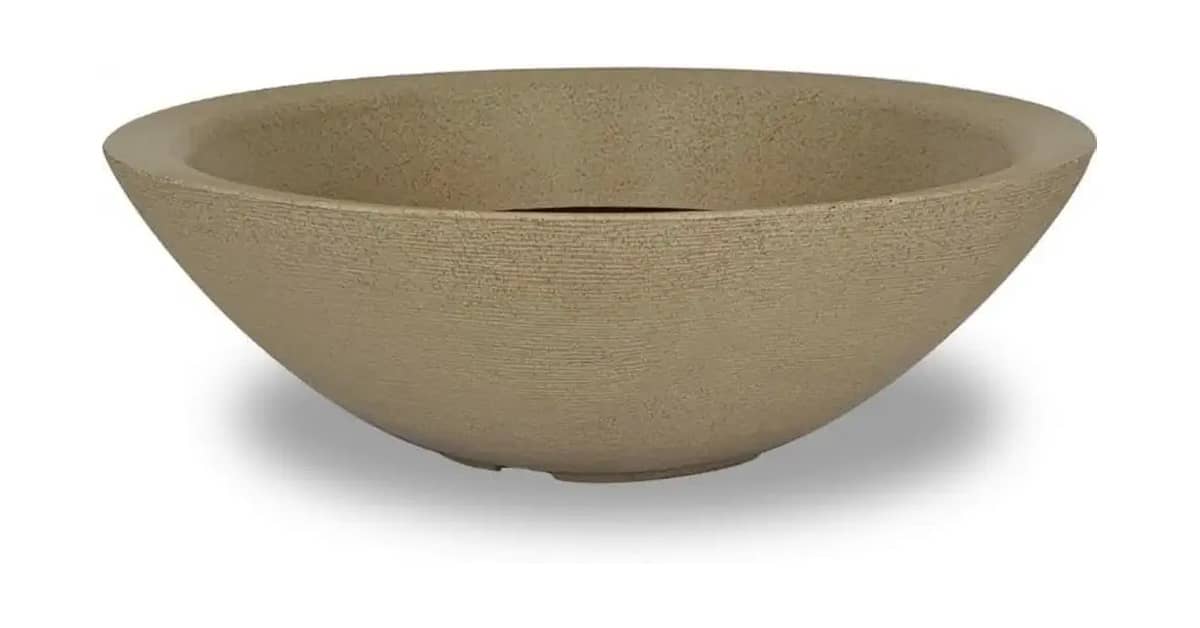 Melhor Vaso para Rosa do Deserto: 10 Modelos Ideais