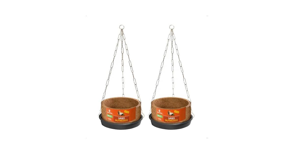Melhor Vaso para Samambaia: 10 Modelos de Alta Drenagem
