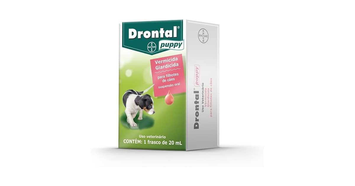 Melhor Vermífugo para Cães Filhotes: O Guia Definitivo