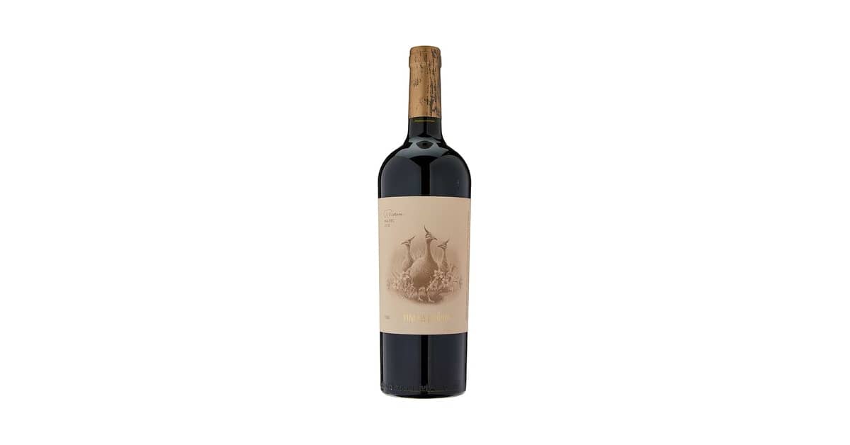 Melhor Vinho Argentino Malbec: Guia Definitivo de Sabores