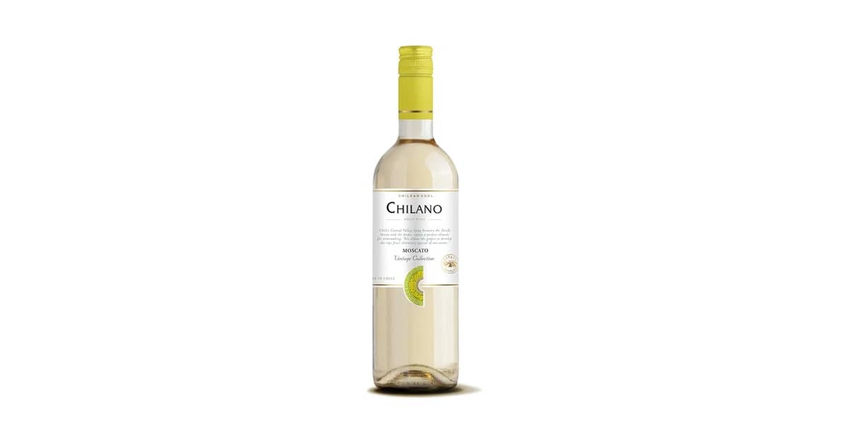 Melhor Vinho Chileno Branco: Guia Completo e Opções Premium