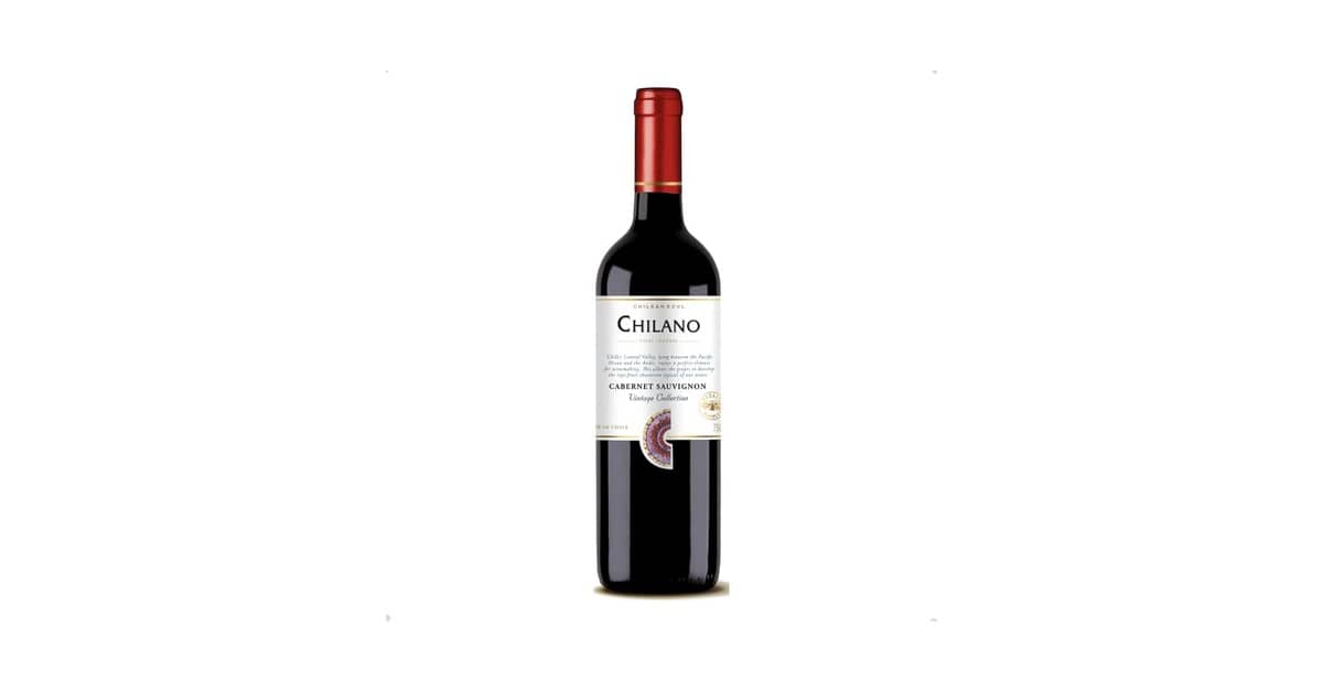 Melhor Vinho Chileno: Cabernet Sauvignon e Carmenere em Destaque!