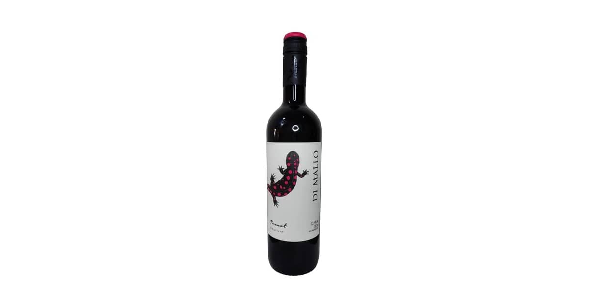 Melhor Vinho Tannat do Uruguai: Guia Completo