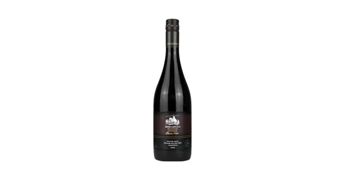 Melhor Vinho Tinto Pinot Noir: Guia Definitivo de Sabores