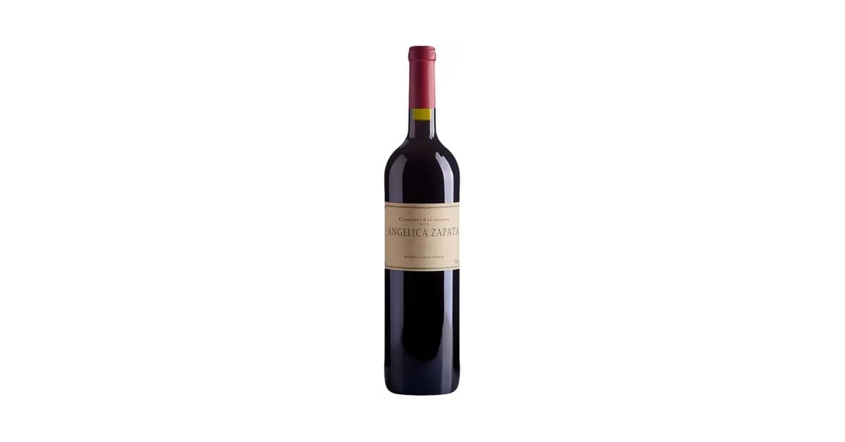 Melhor Vinho Tinto Seco Argentino: Análise e Dicas!