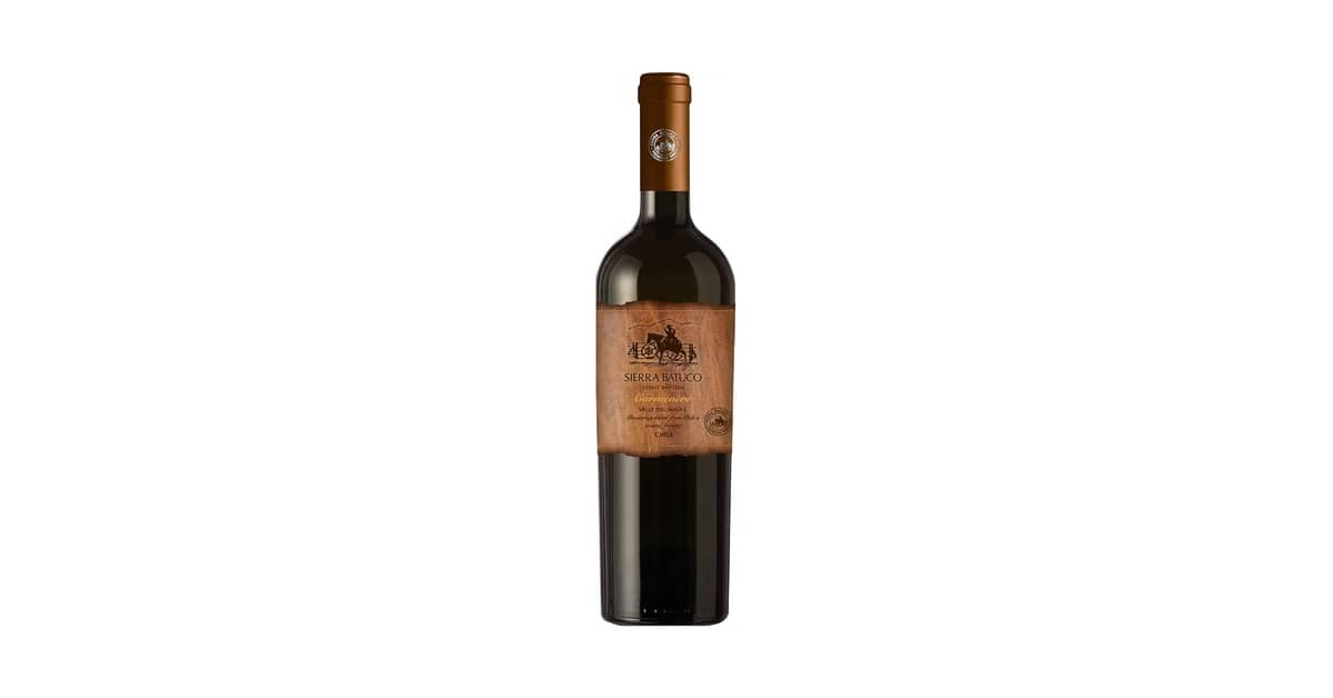 Melhor Vinho Tinto Seco: Guia Completo de Sabores e Aromas