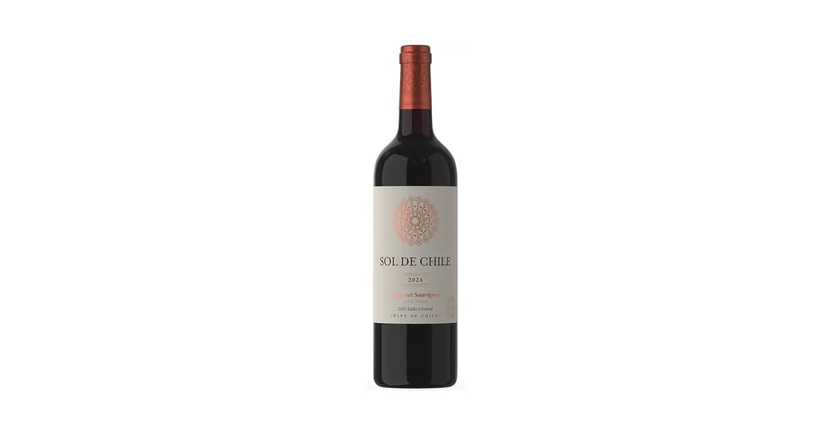 Melhor Vinho Tinto Suave Chileno: Guia de Degustação