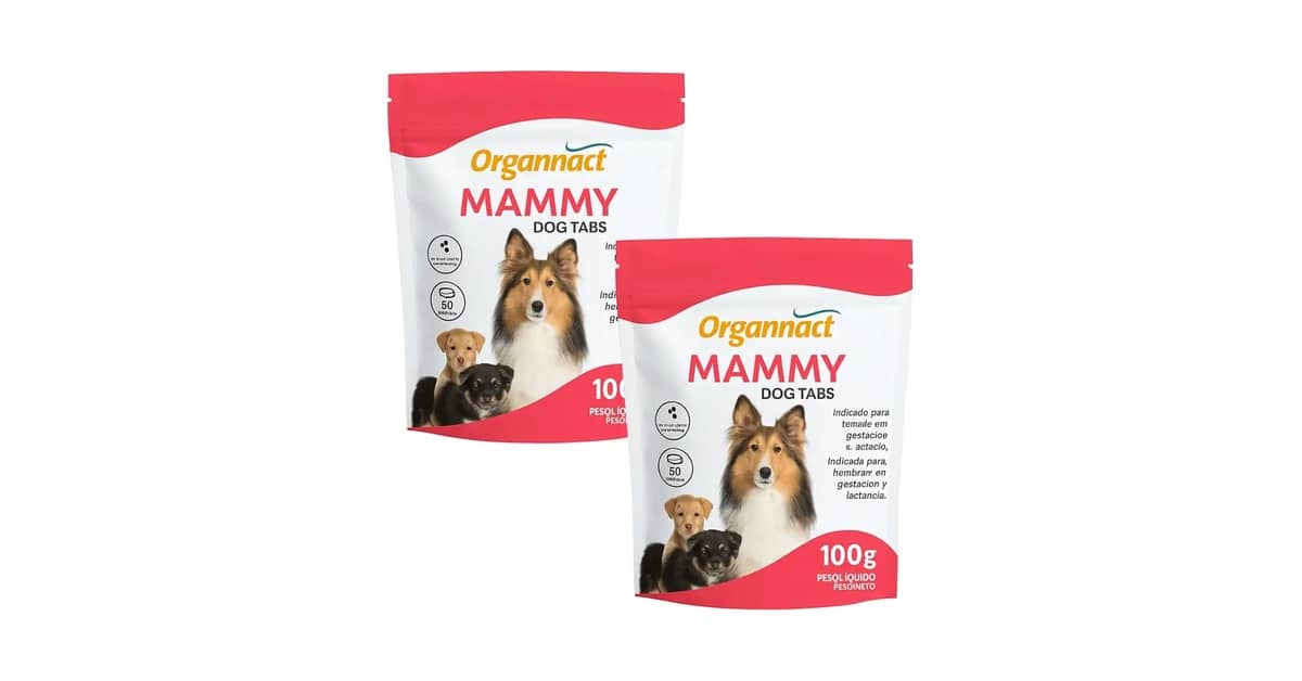 Melhor Vitamina para Cadela Gestante: Nutrição Essencial para Saúde