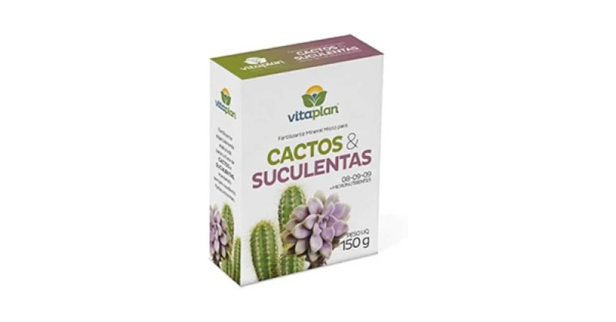 Melhores Adubos para Suculentas: 8 Opções Potentes
