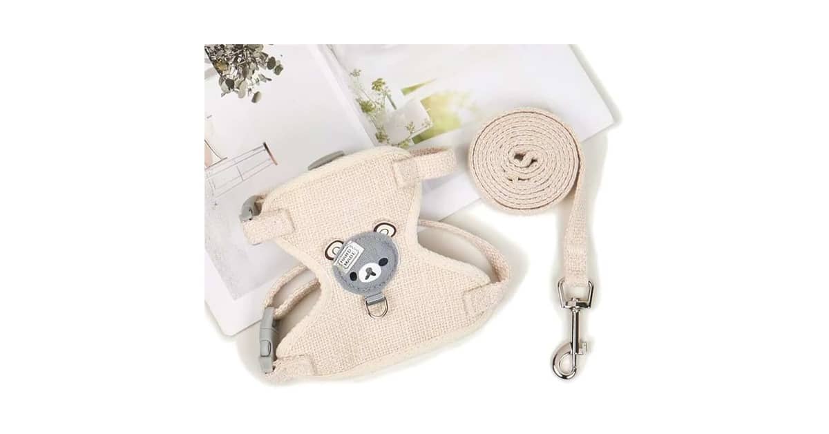 Melhores Arneses para Coelho: Qual o Mais Seguro?