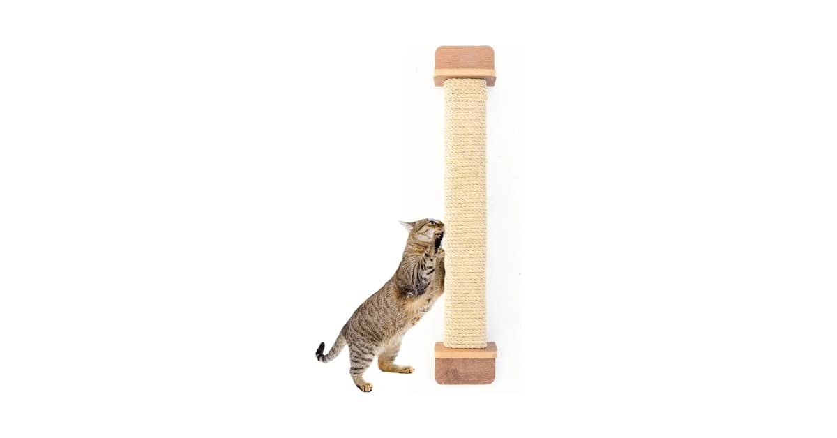 Melhores Arranhadores de Parede para Gatos: Top 10