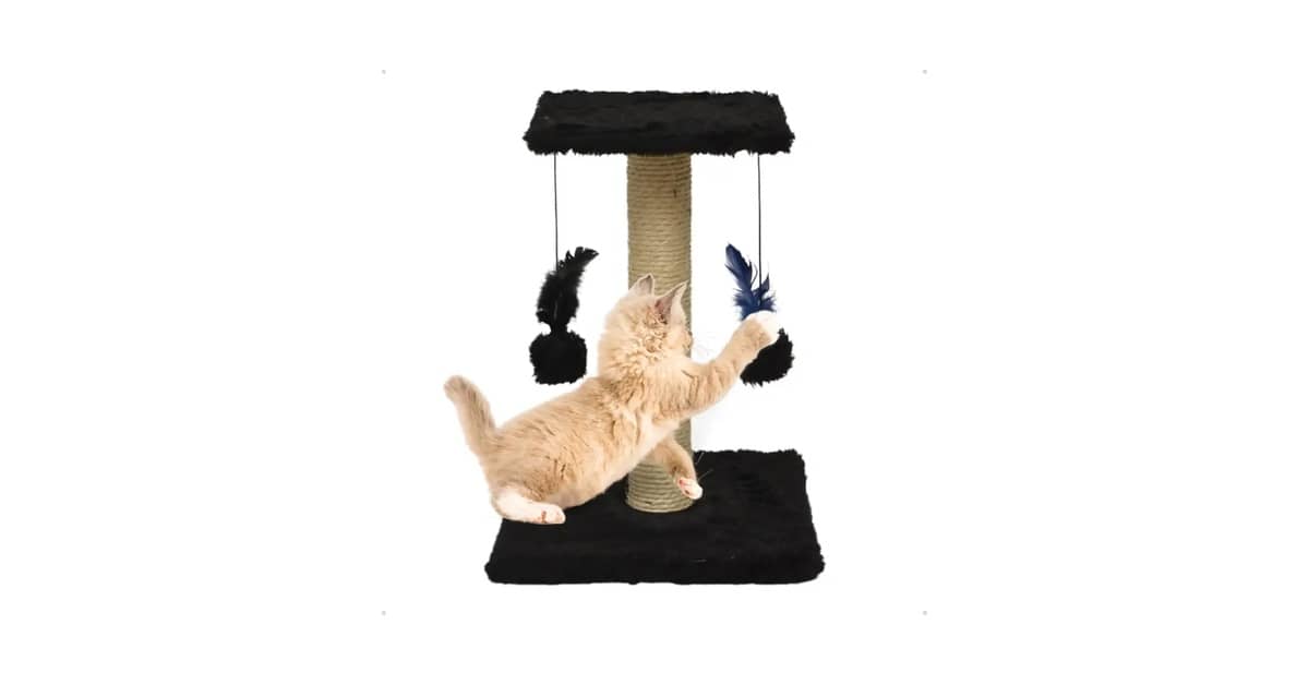Melhores Arranhadores para Gatos que Não Gostam de Sisal: 4 Opções Infalíveis
