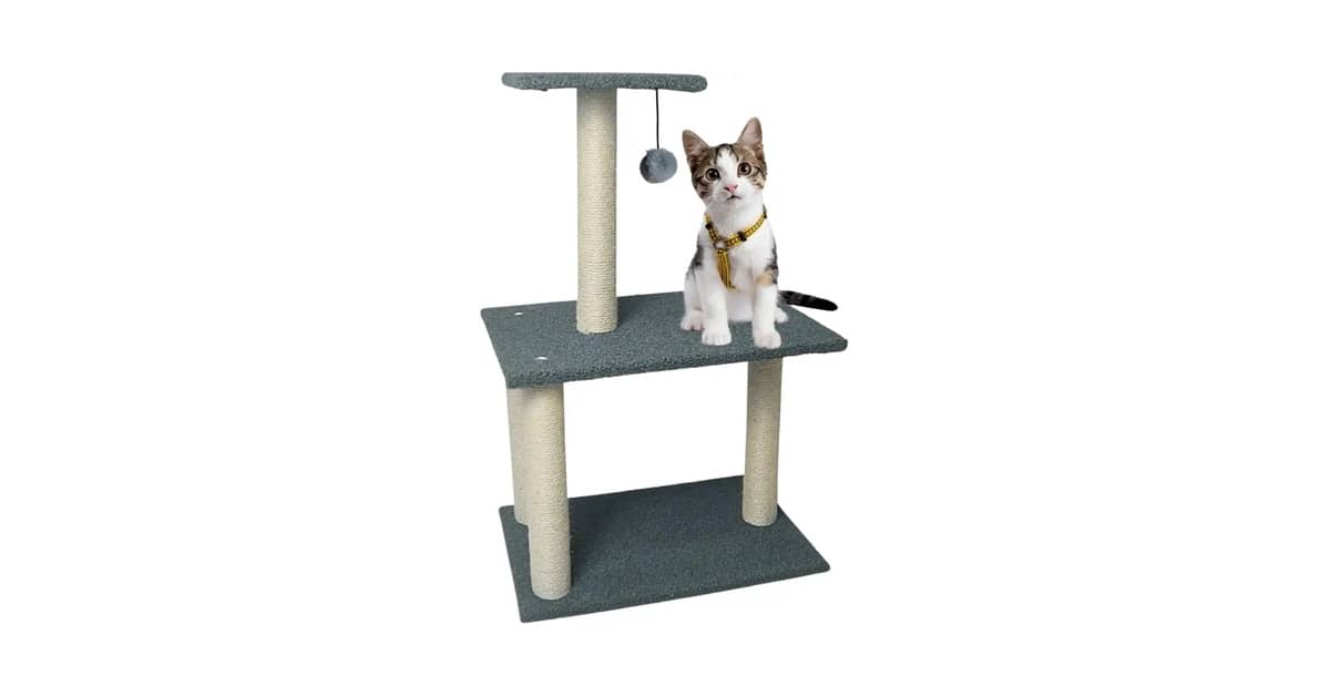 Melhores Arranhadores Tipo Torre com Vários Andares para Gatos: Top 10