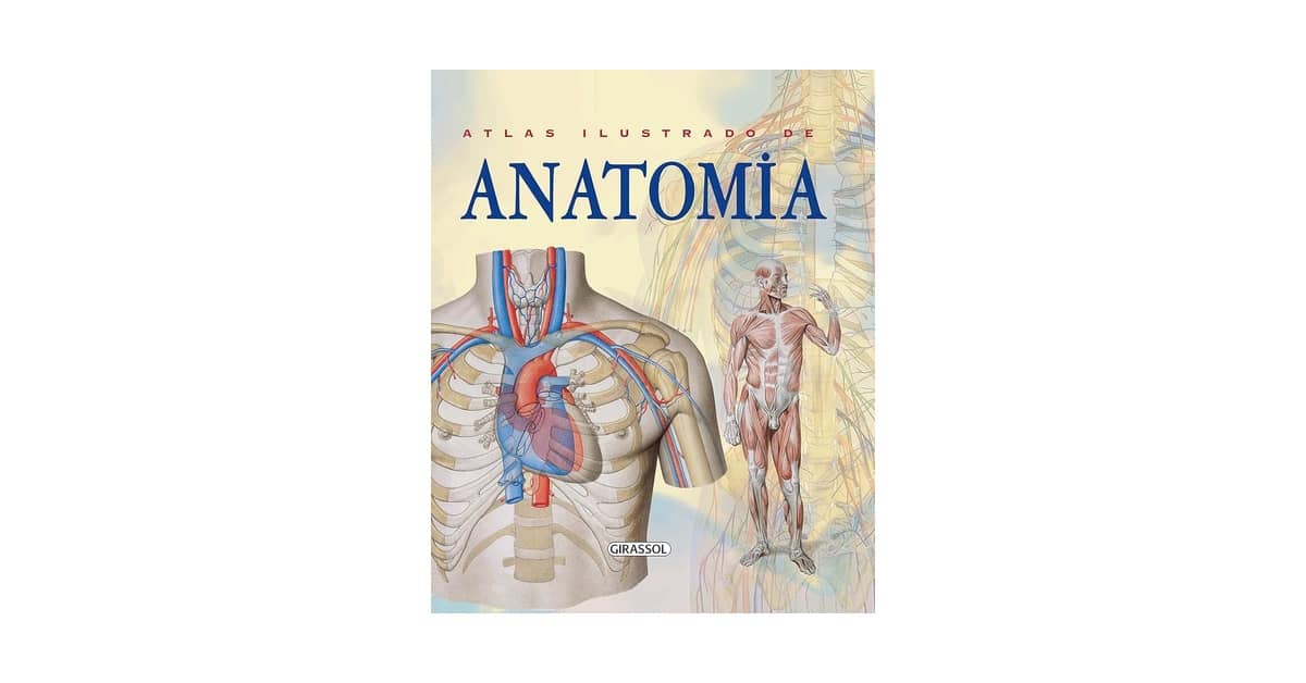 Melhores Atlas de Anatomia: O Guia de Estudo Ideal