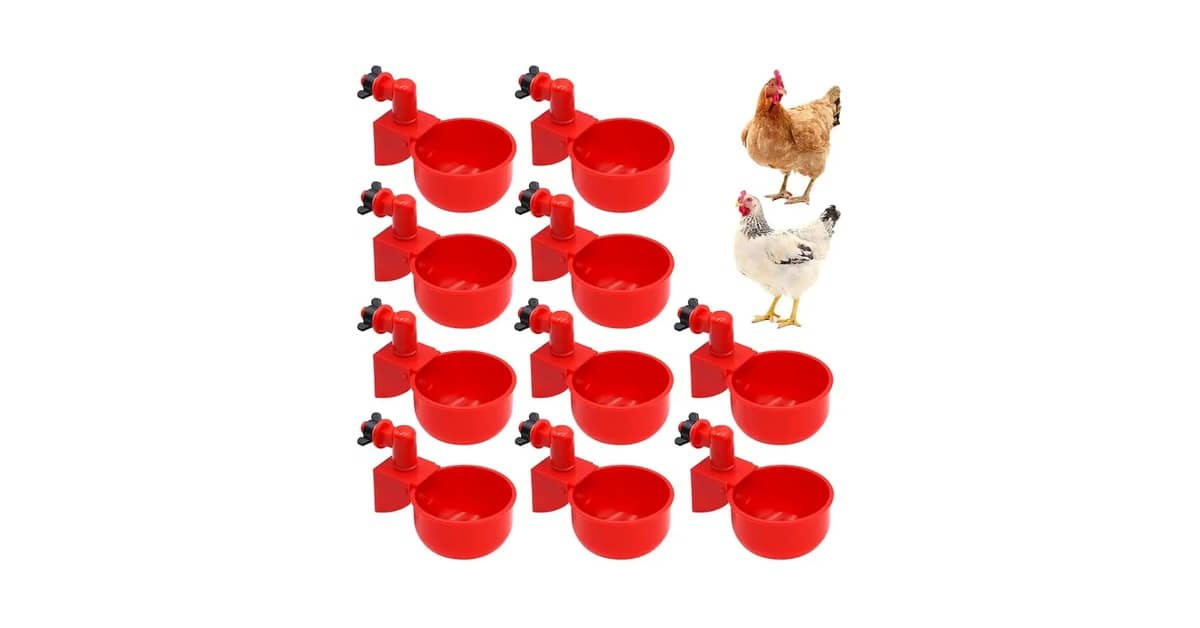 Melhores bebedouros para galinha: Qual Escolher?