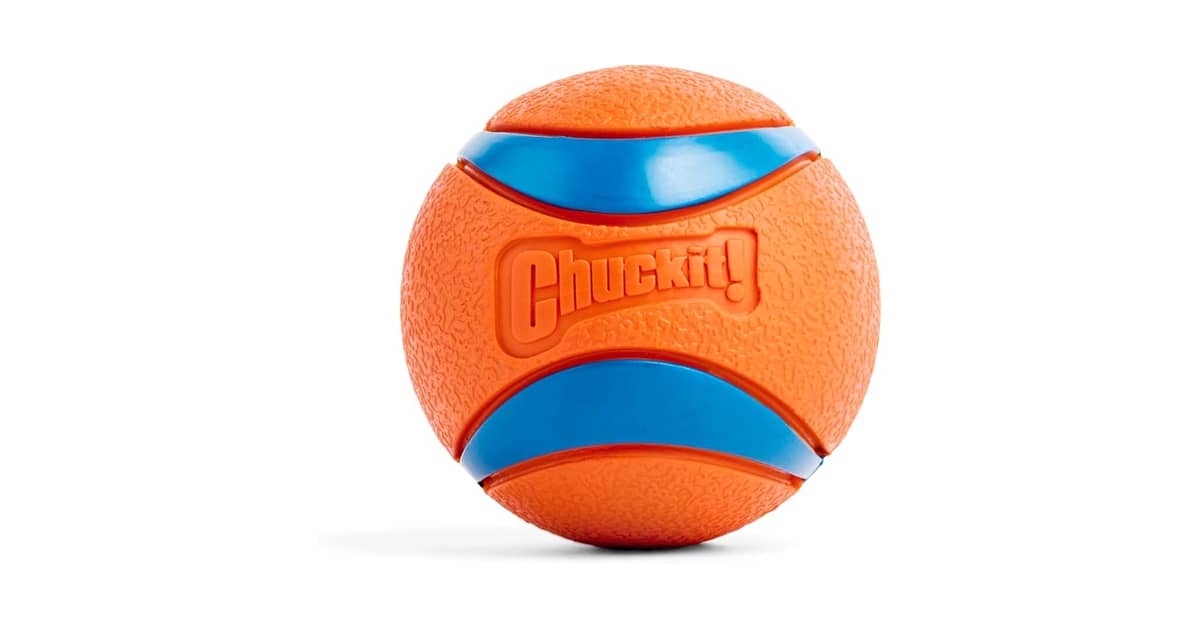 Melhores bolas para cachorro que não furam: Top 10