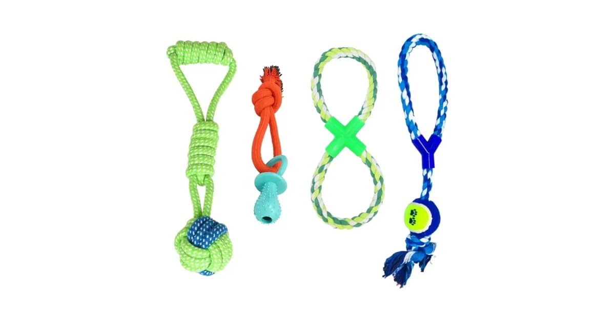 Melhores Brinquedos de Corda para Cachorro: Top 10 Duráveis
