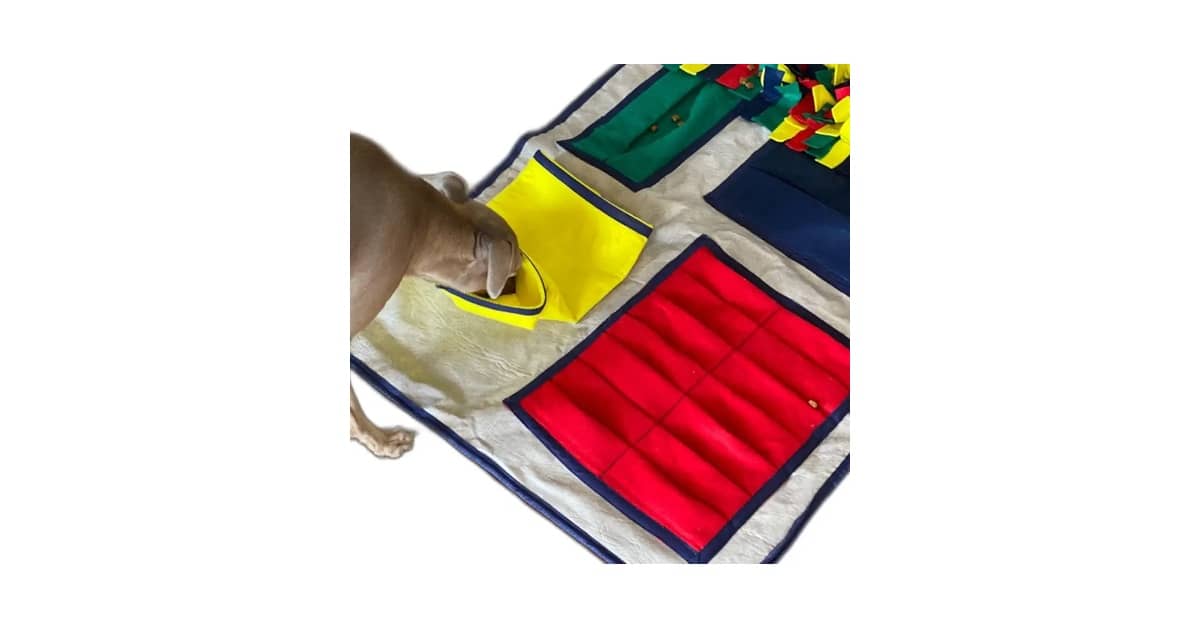 Melhores brinquedos de enriquecimento ambiental para cães: Guia Antiestresse