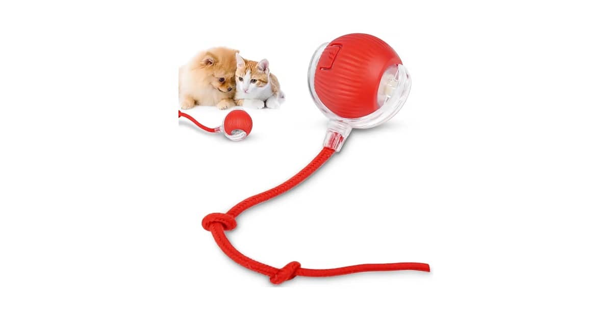 Melhores brinquedos interativos para gatos que ficam sozinhos: Fim do Tédio?