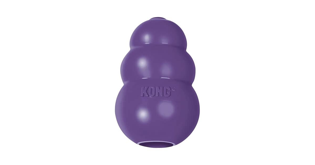 Melhores brinquedos para cães idosos: Top 10 Macios