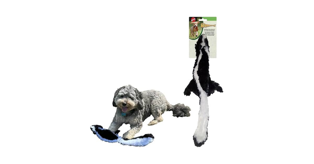 Melhores Brinquedos Para Cães Que Gostam de Barulho: Top 10