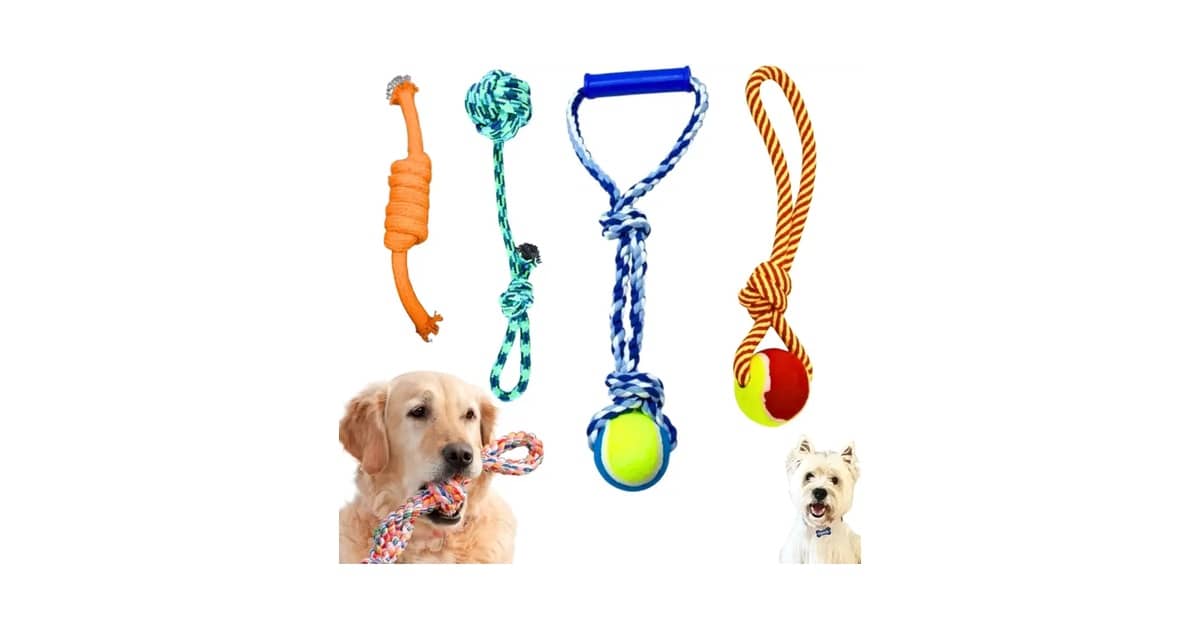 Melhores Brinquedos para Cães que Gostam de Corda: Qual é o Mais Resistente?