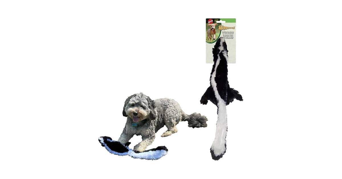 Melhores brinquedos para cães que gostam de fazer barulho: Top 10