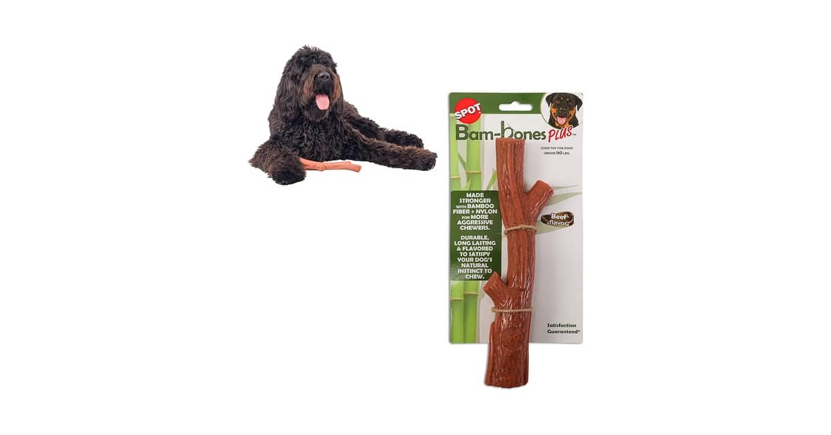Melhores brinquedos para cães que gostam de mastigar madeira: Qual é Seguro?