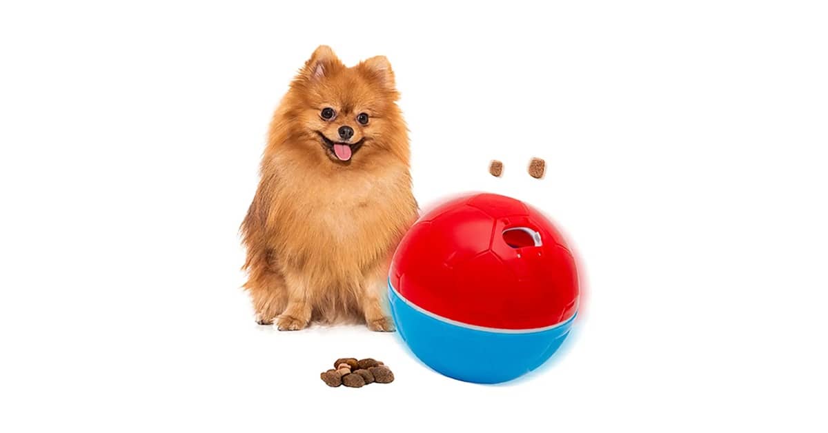 Melhores Brinquedos para Cães que Soltam Comida: Guia Antiestresse