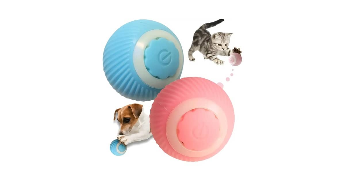 Melhores brinquedos para cães que soltam pelos: Qual Escolher?
