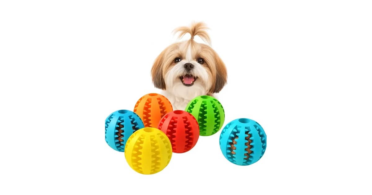 Melhores Brinquedos para Cão Filhote: 10 Seguros