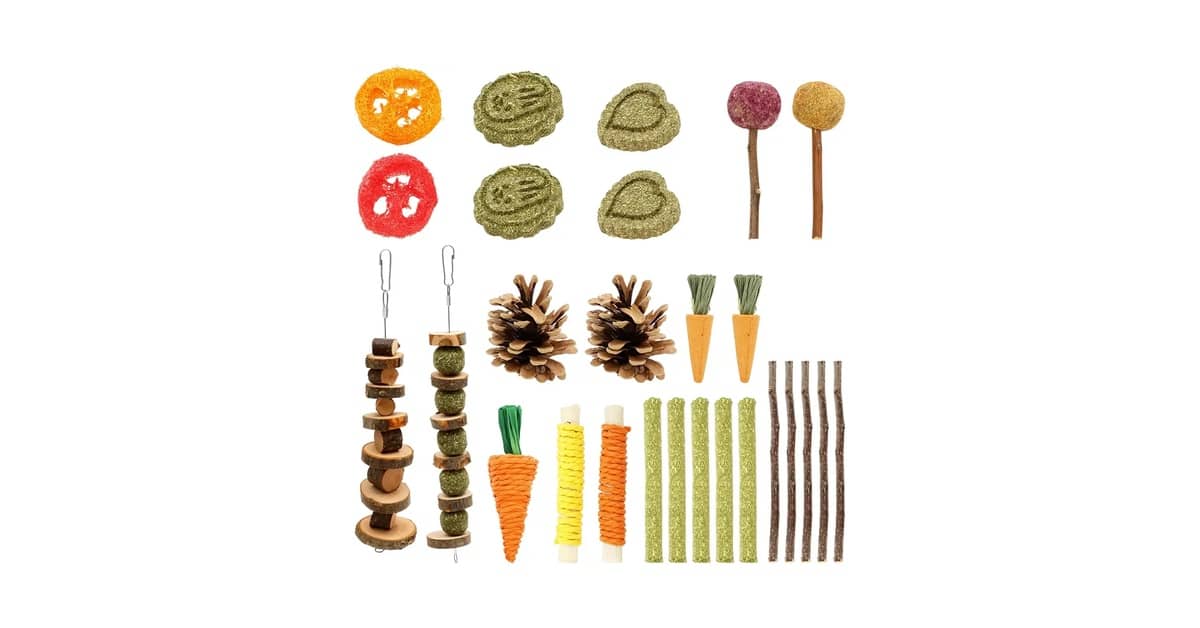 Melhores brinquedos para coelho: 10 Itens Seguros