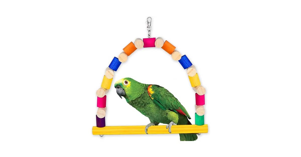 Melhores Brinquedos para Papagaio: Qual Escolher?